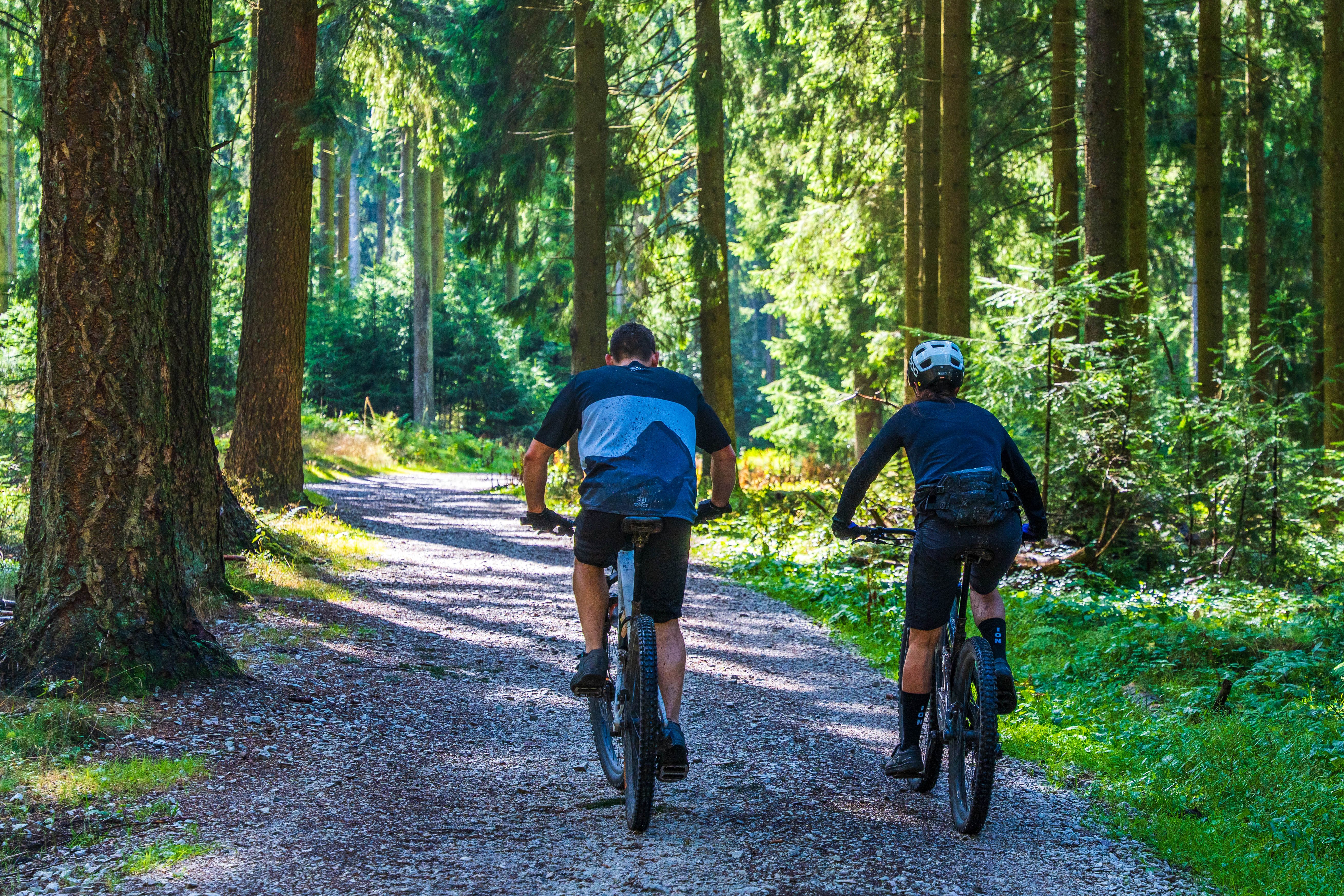 Fietsers in het bos met een fietsverzekering in Overijssel. 